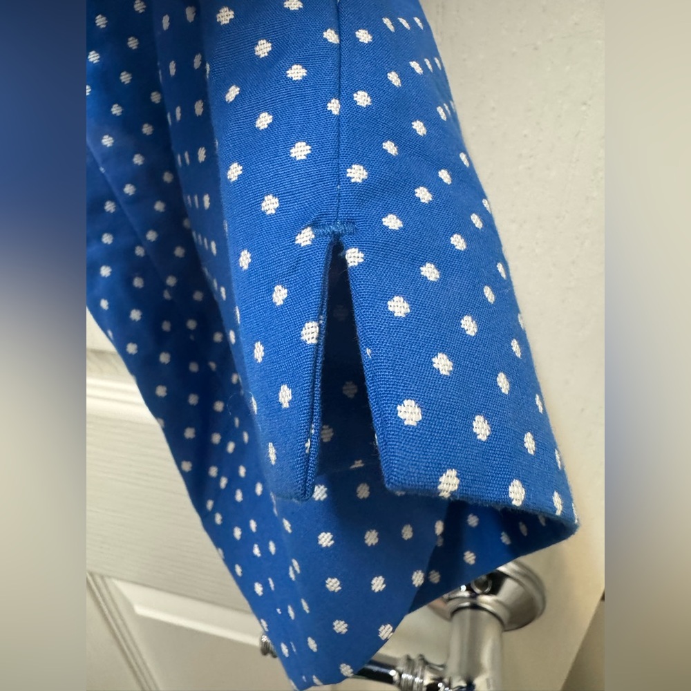 Talbots Blue Polka Dot Pants - Picture 3 of 7